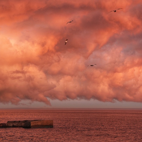 Photo #13764369