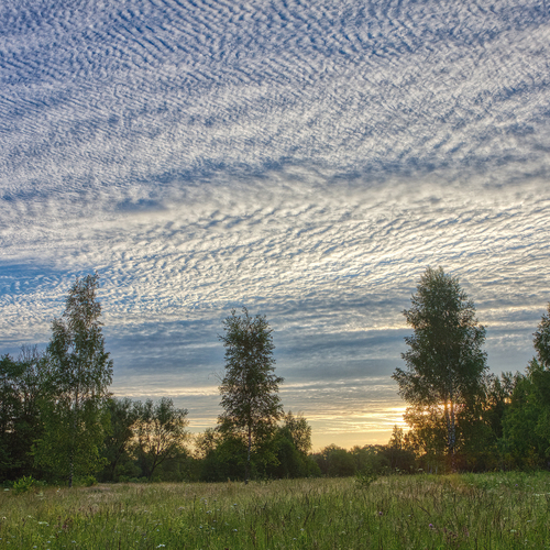 Photo #13764400