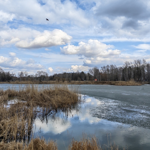 Photo #13764466