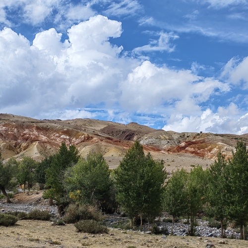 Photo #13764467
