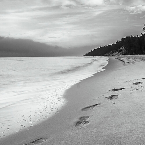 Photo #13764499
