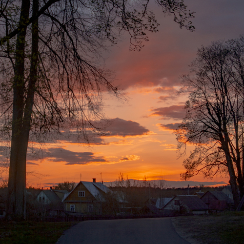 Photo #13764558