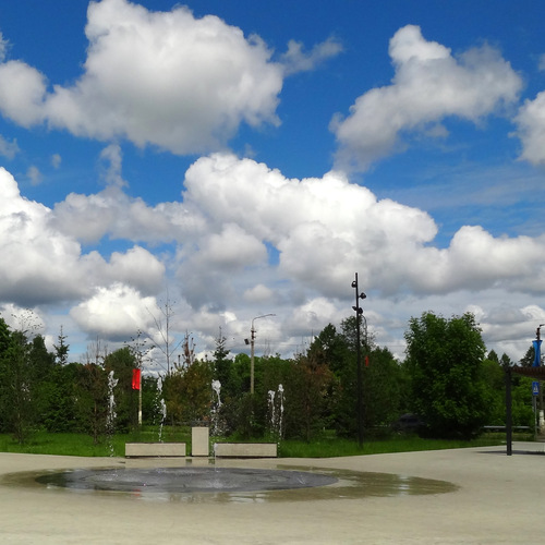 Photo #13764574
