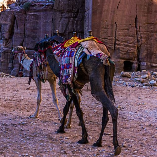 Photo #13764584