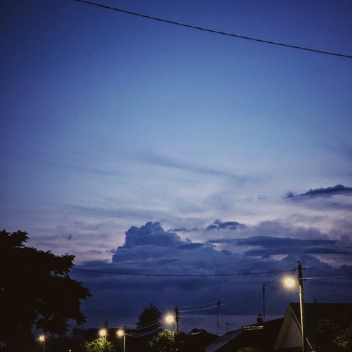 Photo #13764588
