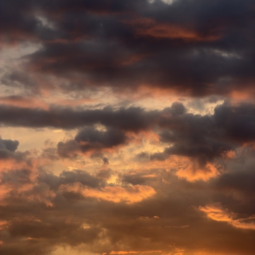 Photo #13764641
