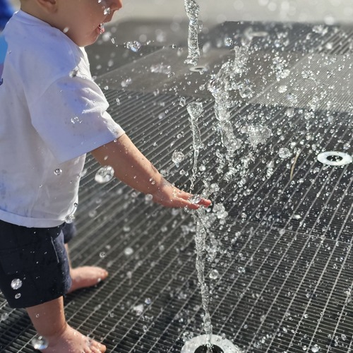 Photo #13764664