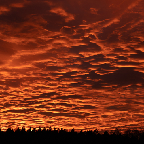 Photo #13764680