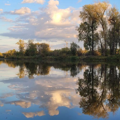 Photo #13764694