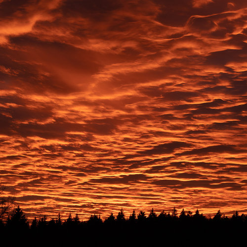 Photo #13764695