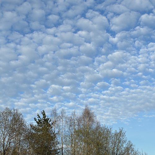Photo #13764709