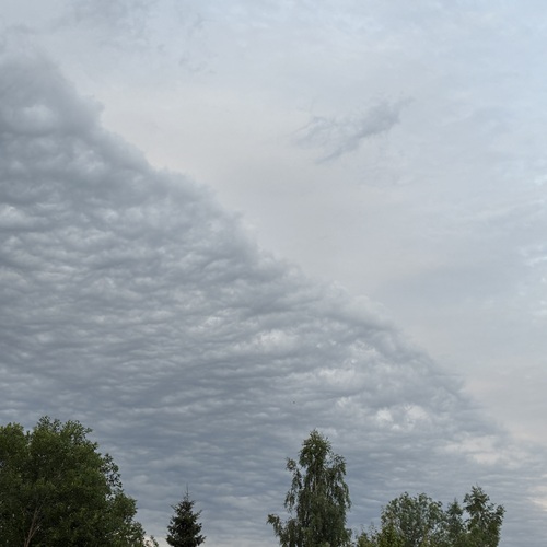 Photo #13764710