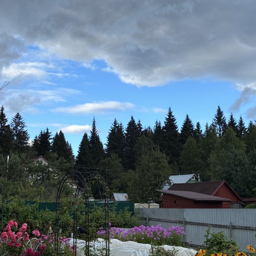 Photo #13764711