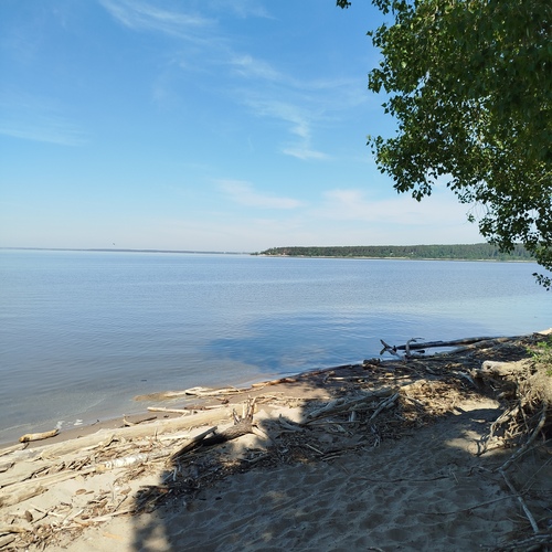 Photo #13764772