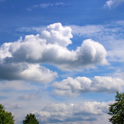 Photo #13764806