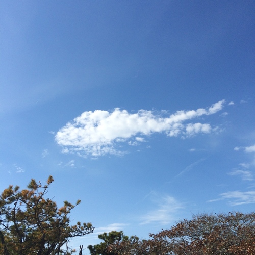 Photo #13764813