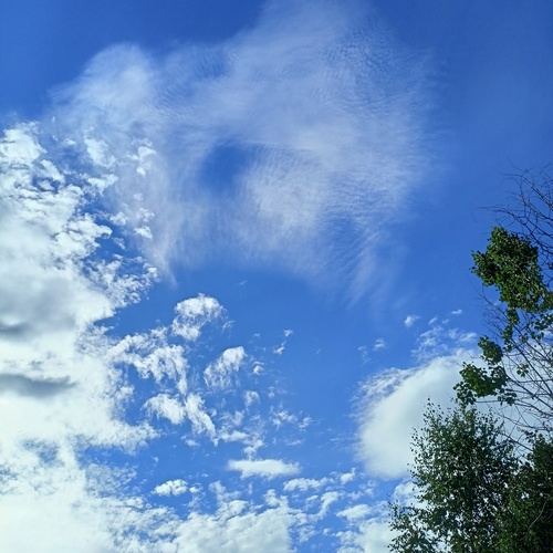 Photo #13764848