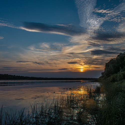 Photo #13764859