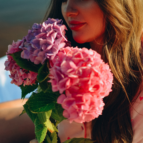 Photo #13764931