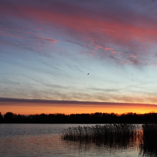 Photo #13764972