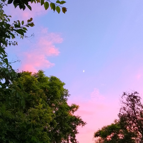 Photo #13765051