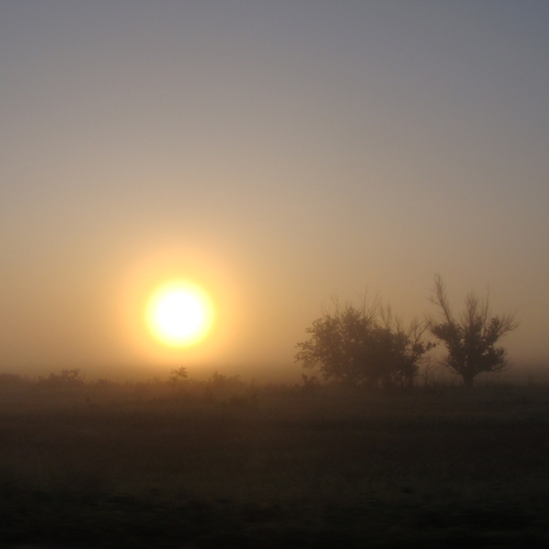 Photo #13765071