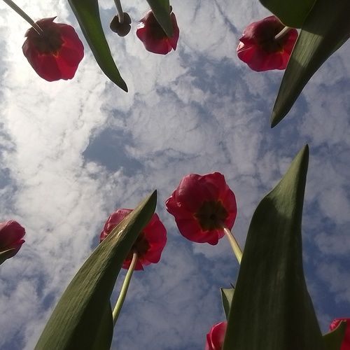 Photo #13765072