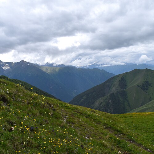 Photo #13765113