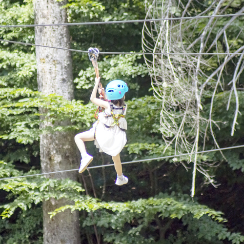 Photo #13765171