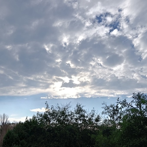 Photo #13765265