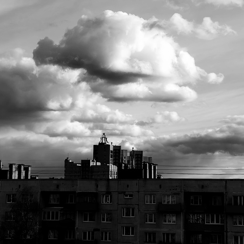 Photo #13765270