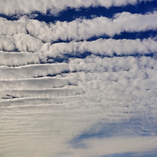 Photo #13765271