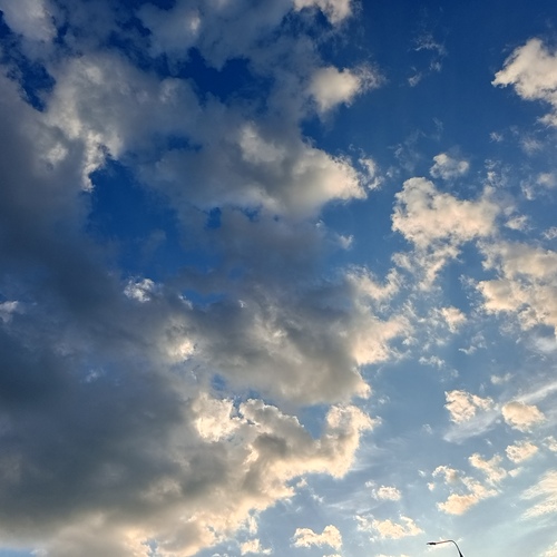 Photo #13765274