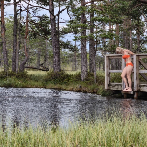 Photo #13765279