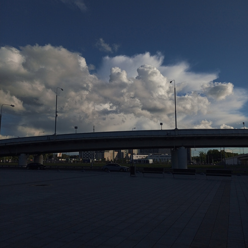 Photo #13765291