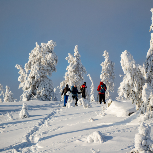 Photo #13765308