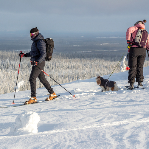 Photo #13765313