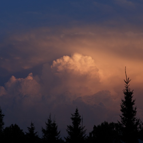 Photo #13765315