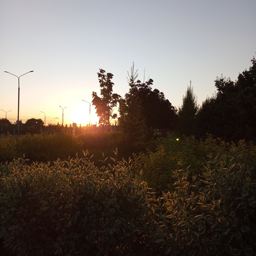 Photo #13765321
