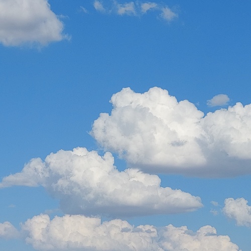 Photo #13765392