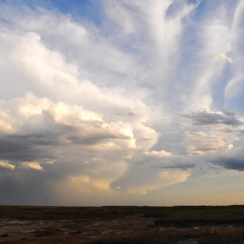 Photo #13765399