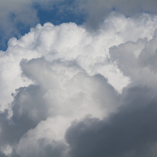Photo #13765433