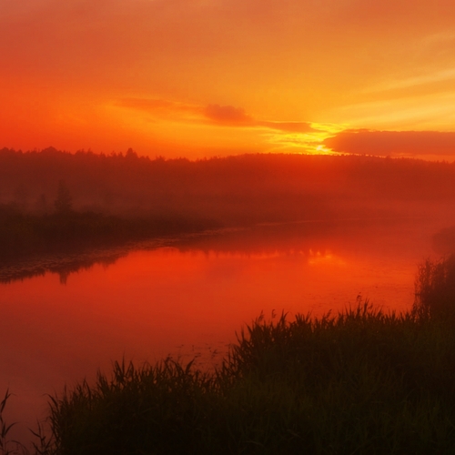 Photo #13765463