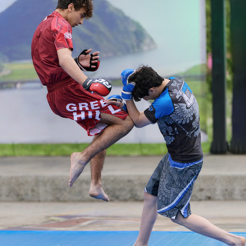 Photo #13765464