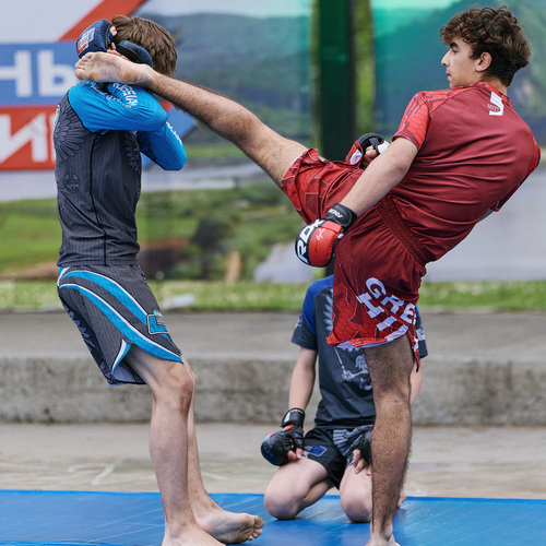 Photo #13765467