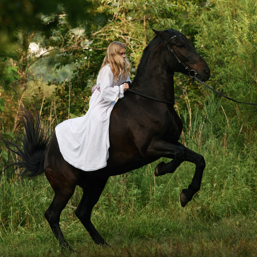 Photo #13765468