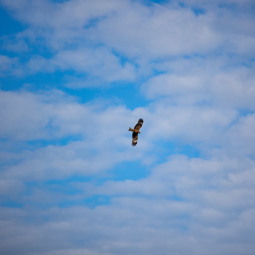 Photo #13765499