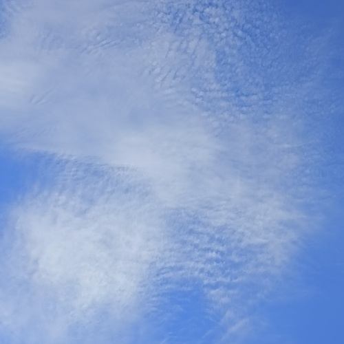 Photo #13765544
