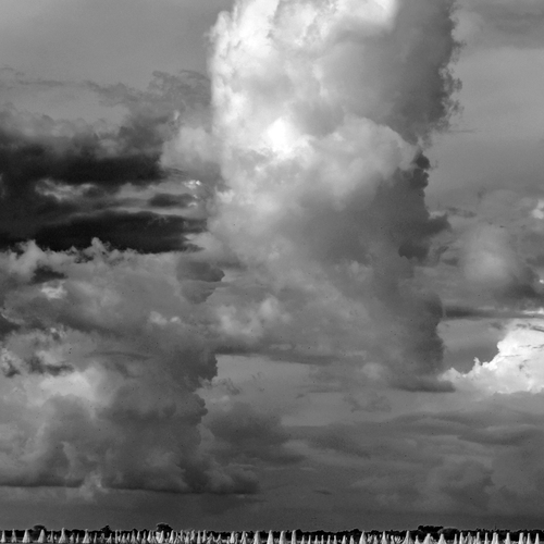 Photo #13765561