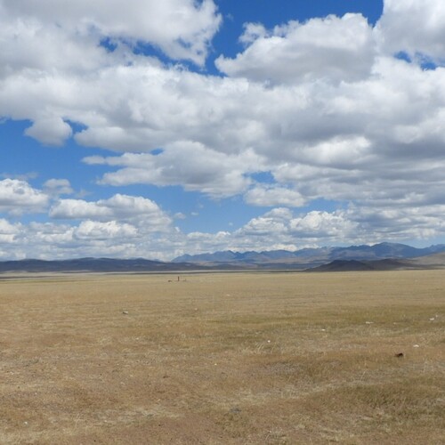 Photo #13765606